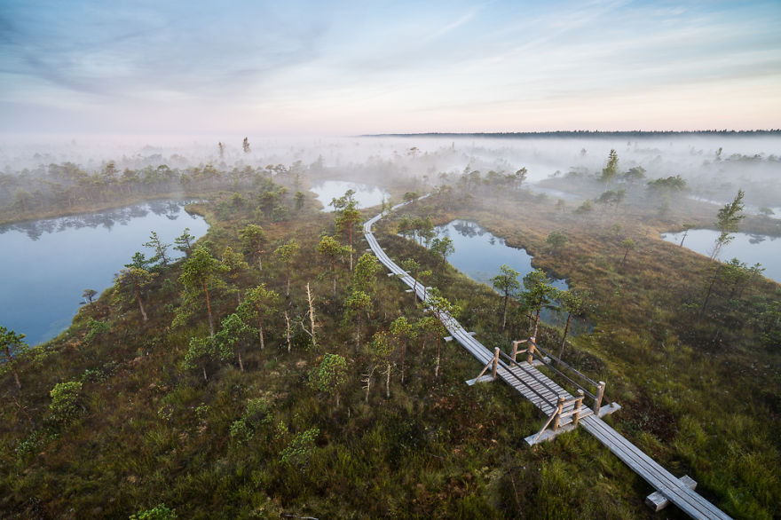 Magical Autumn Fog In Over 8000-Year-Old Kemeri Bog Magical Autumn Fog In Over 8000-Year-Old Kemeri Bog