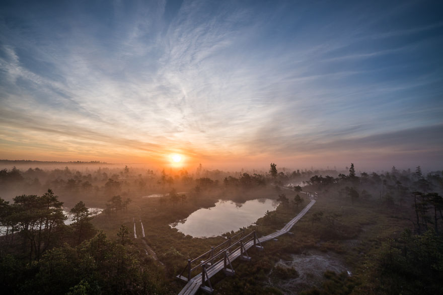 Magical Autumn Fog In Over 8000-Year-Old Kemeri Bog Magical Autumn Fog In Over 8000-Year-Old Kemeri Bog