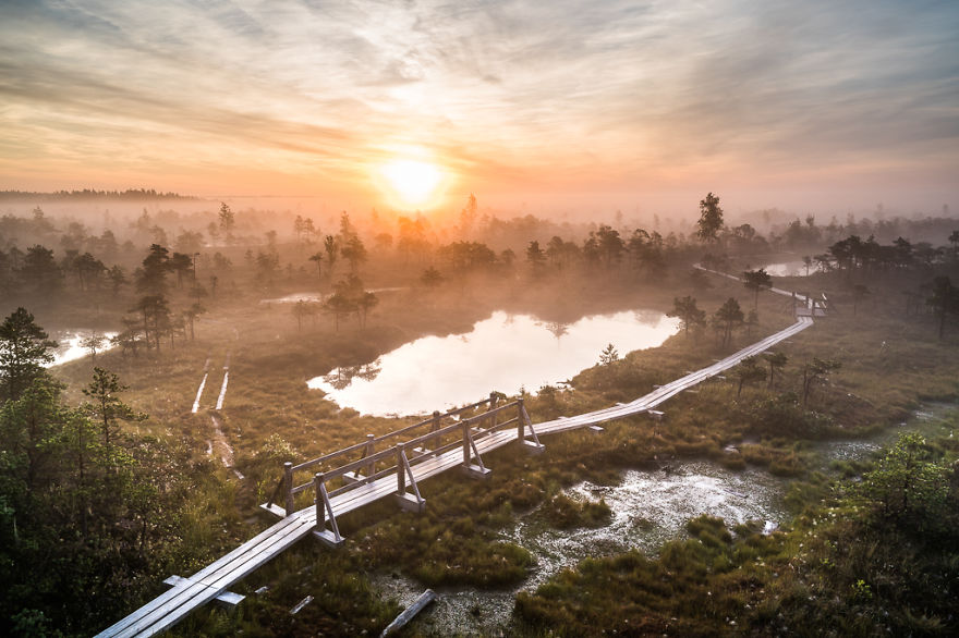 Magical Autumn Fog In Over 8000-Year-Old Kemeri Bog Magical Autumn Fog In Over 8000-Year-Old Kemeri Bog