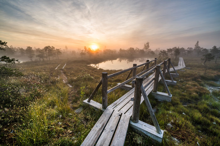 Magical Autumn Fog In Over 8000-Year-Old Kemeri Bog