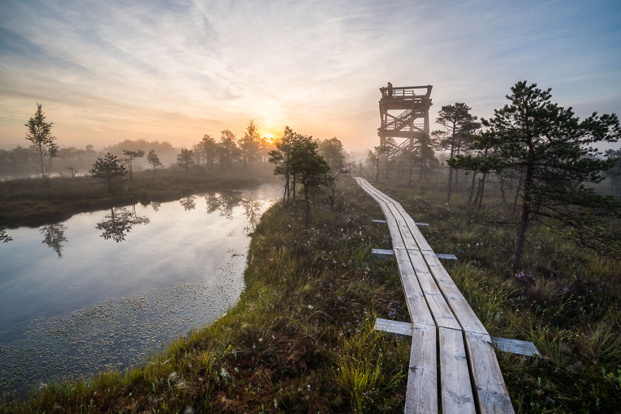 Magical Autumn Fog In Over 8000-Year-Old Kemeri Bog Magical Autumn Fog In Over 8000-Year-Old Kemeri Bog