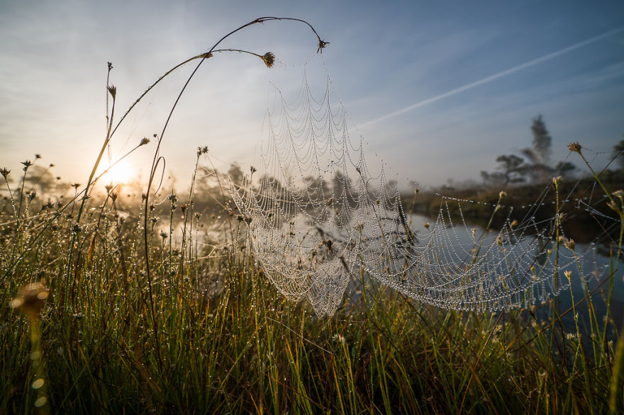 Magical Autumn Fog In Over 8000-Year-Old Kemeri Bog Magical Autumn Fog In Over 8000-Year-Old Kemeri Bog