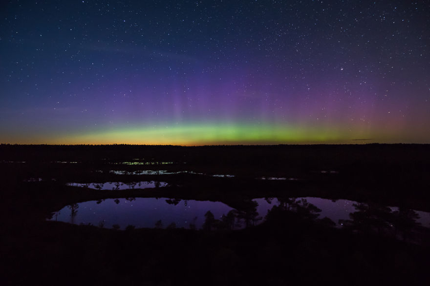 Magical Autumn Fog In Over 8000-Year-Old Kemeri Bog Magical Autumn Fog In Over 8000-Year-Old Kemeri Bog
