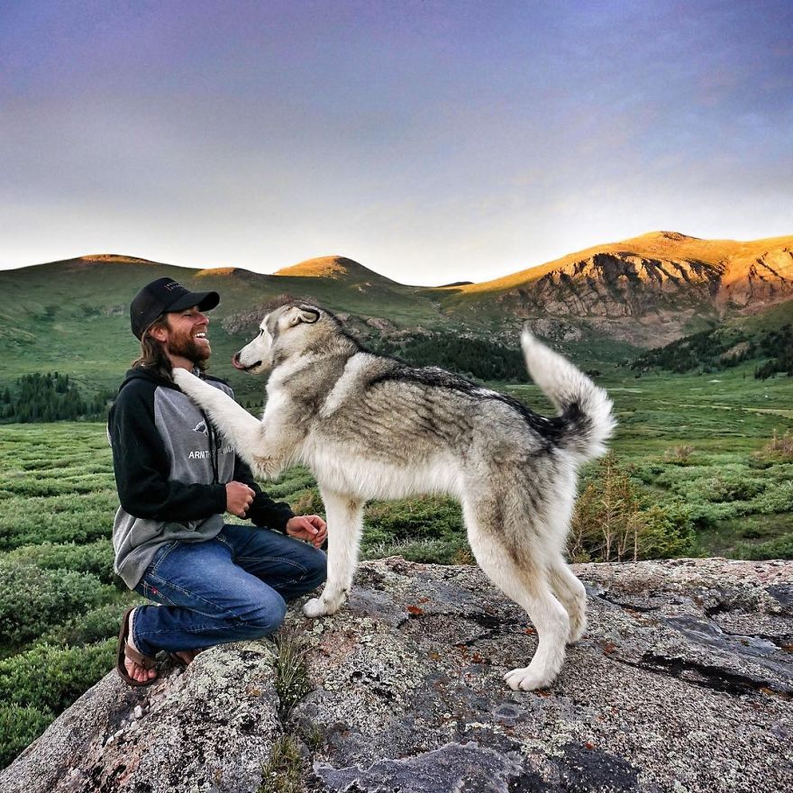 I Take My Wolfdog On Epic Adventures Because I Hate To See Dogs Locked Away I Take My Wolfdog On Epic Adventures Because I Hate To See Dogs Locked Away