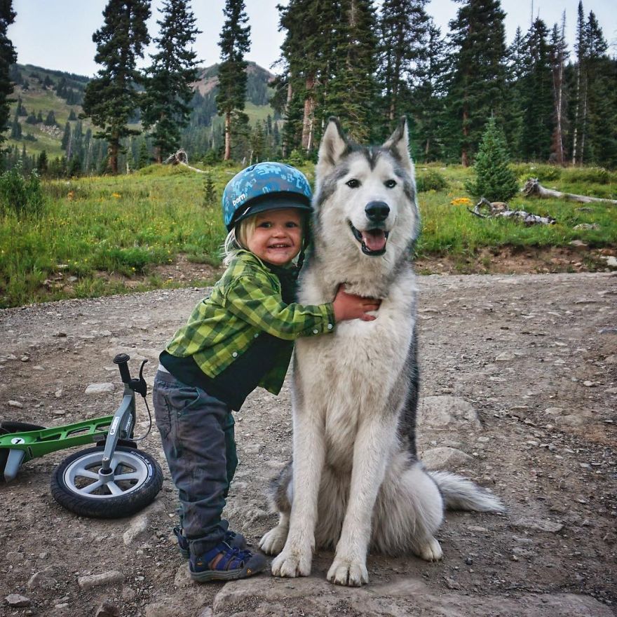 I Take My Wolfdog On Epic Adventures Because I Hate To See Dogs Locked Away I Take My Wolfdog On Epic Adventures Because I Hate To See Dogs Locked Away