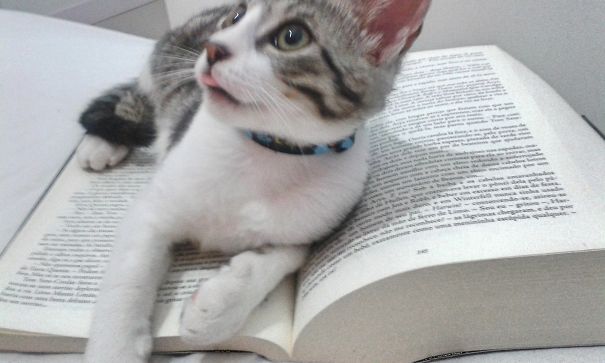 You Don't Need Read This... :-p