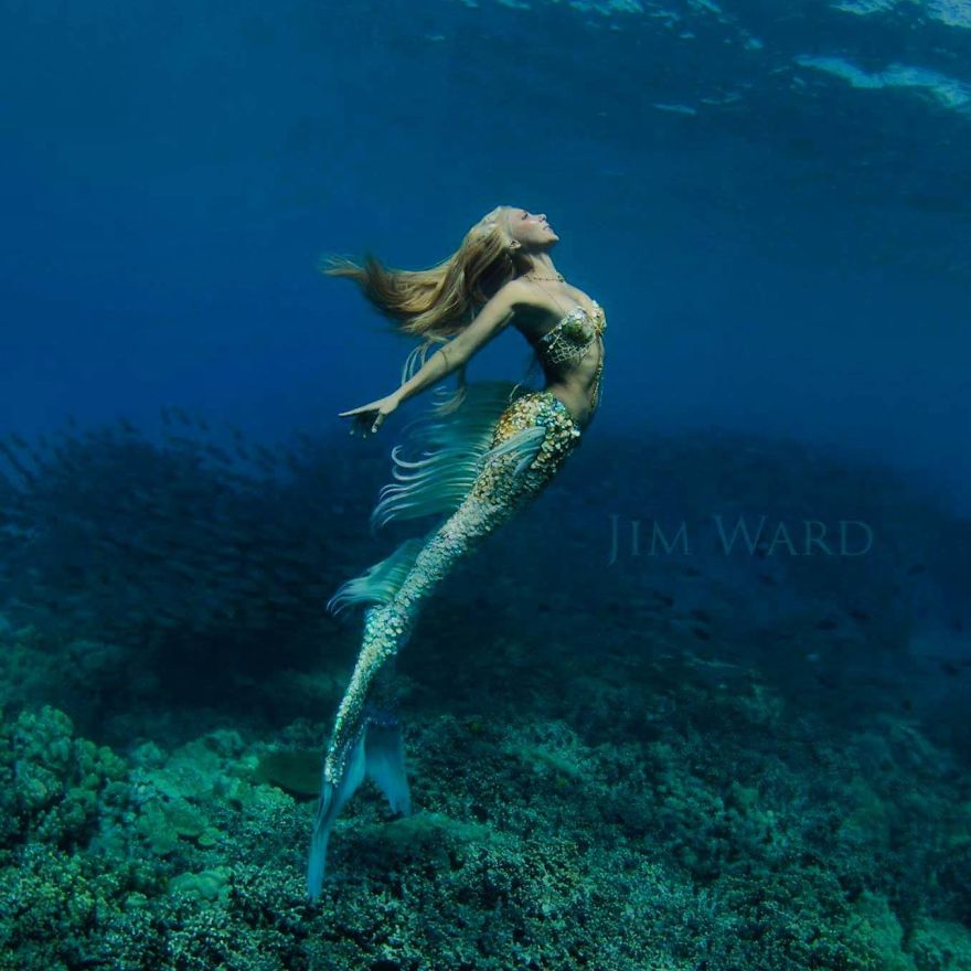 Real-life mermaid underwater, wearing fish tail, swimming gracefully, surrounded by ocean life. Real-life mermaid underwater, wearing fish tail, swimming gracefully, surrounded by ocean life.