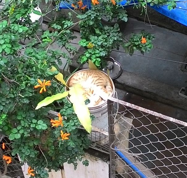 Too Comfortable Bed....