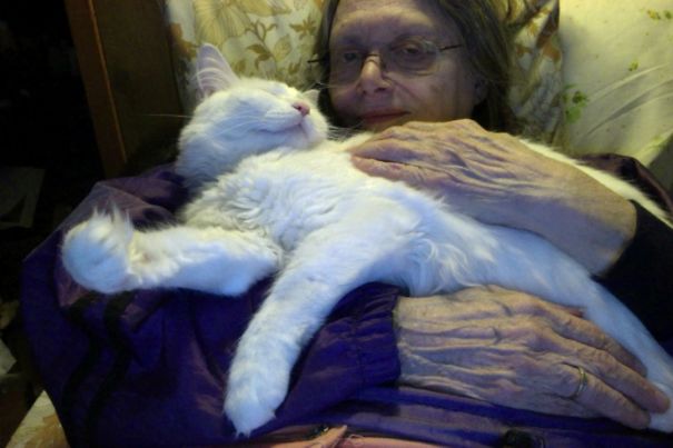 Better Than The Bed. So What If Mom Can't Breathe, I'm Comfortable.