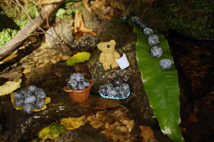 Learn How To Make Blueberry Jam With This Tiny Bear