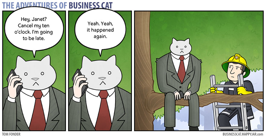 The Adventures Of Business Cat