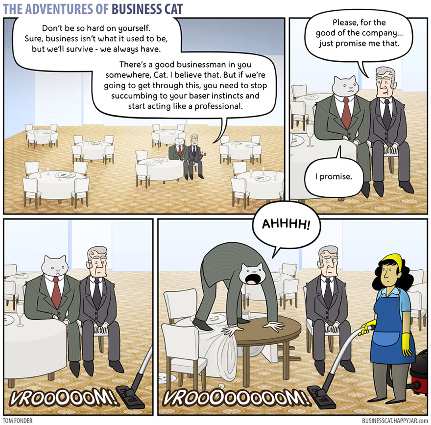 The Adventures Of Business Cat