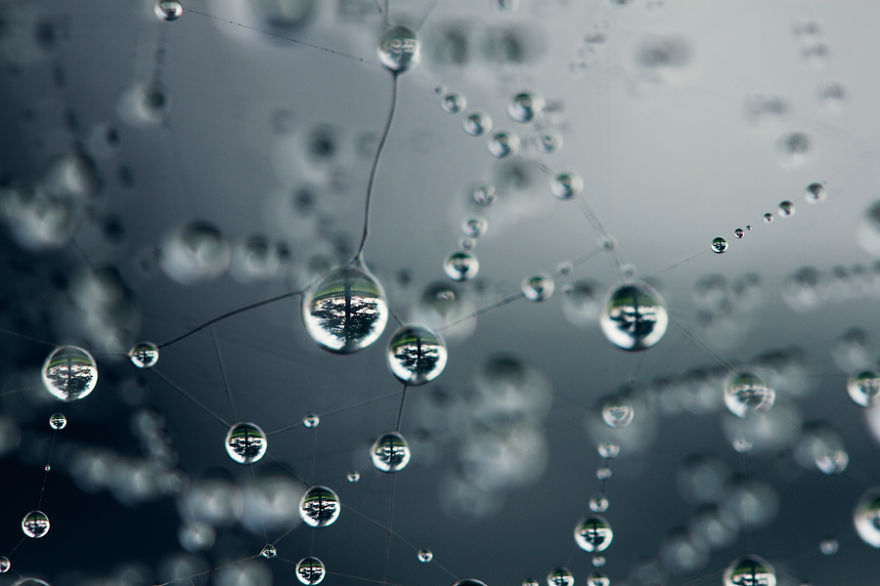 Unconventional Microcosms By Italian Photographer Elena T. Unconventional Microcosms By Italian Photographer Elena T.