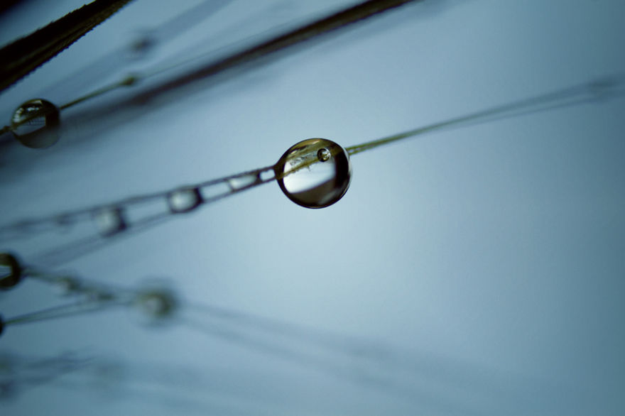 Unconventional Microcosms By Italian Photographer Elena T. Unconventional Microcosms By Italian Photographer Elena T.