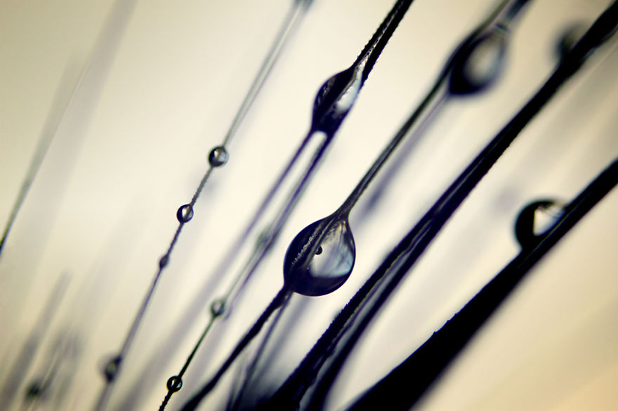 Unconventional Microcosms By Italian Photographer Elena T.