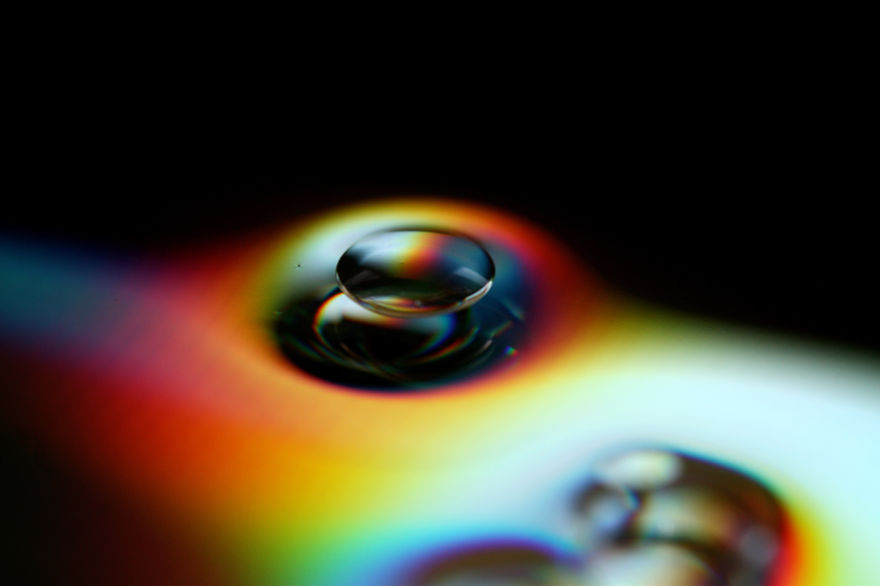 Unconventional Microcosms By Italian Photographer Elena T. Unconventional Microcosms By Italian Photographer Elena T.