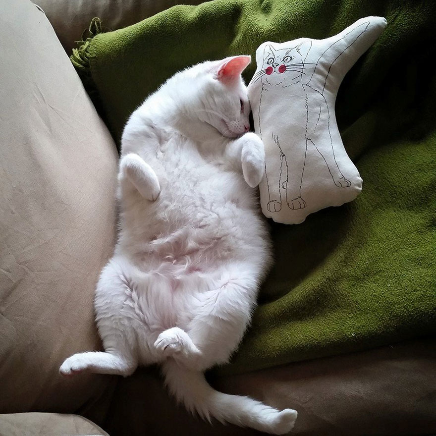 My Snow-White Cat Is My Favorite Model