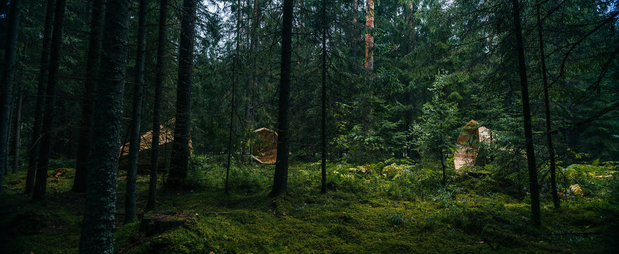 Estonian Students Build Giant Wooden Megaphones To Listen To The Forest Estonian Students Build Giant Wooden Megaphones To Listen To The Forest