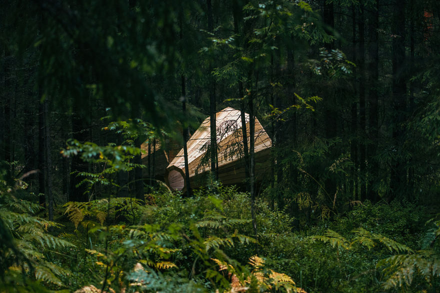 Estonian Students Build Giant Wooden Megaphones To Listen To The Forest Estonian Students Build Giant Wooden Megaphones To Listen To The Forest