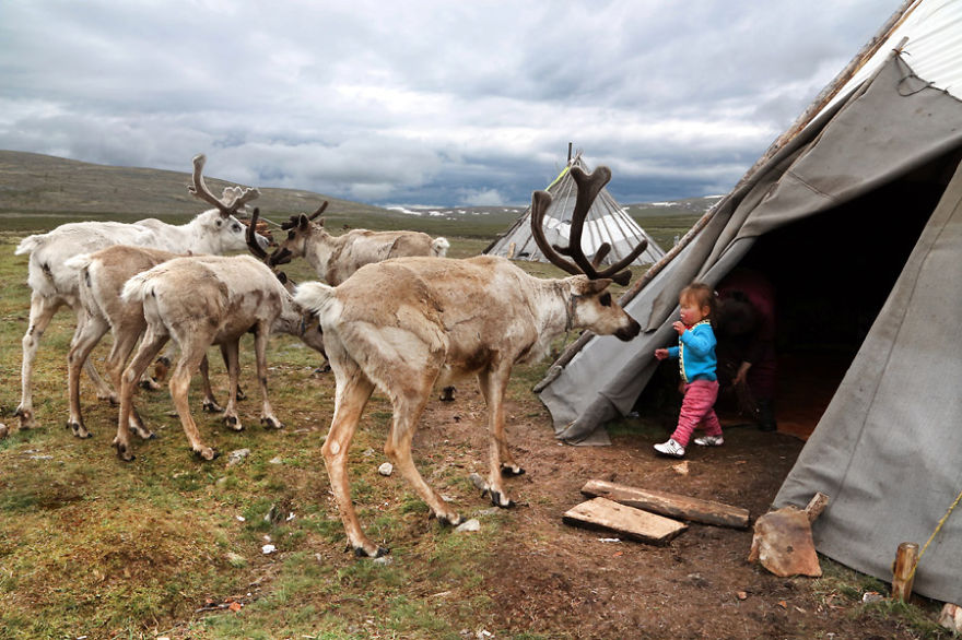 Meet The Tsaatan Nomads In Mongolia Who Live Like No One Else