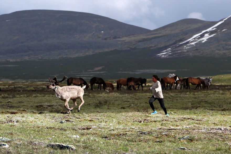 Meet The Tsaatan Nomads In Mongolia Who Live Like No One Else