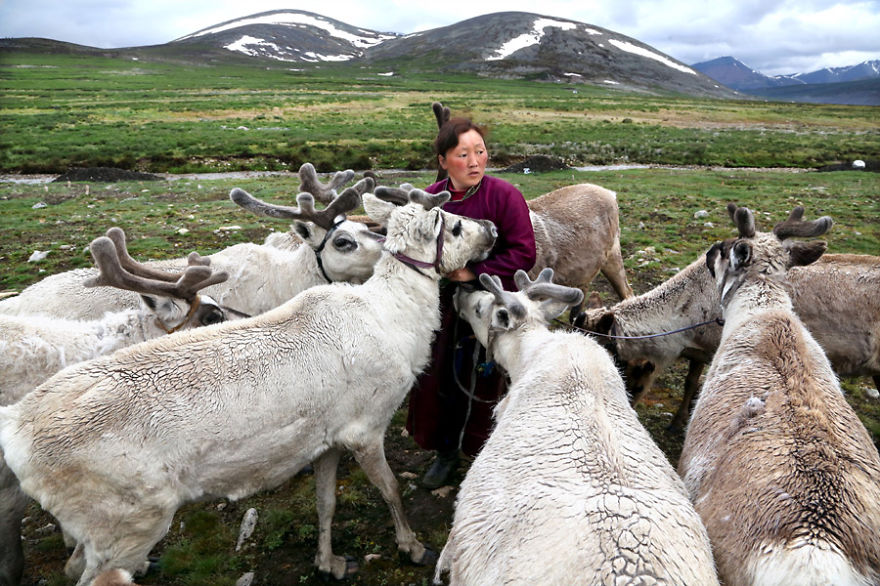 Meet The Tsaatan Nomads In Mongolia Who Live Like No One Else