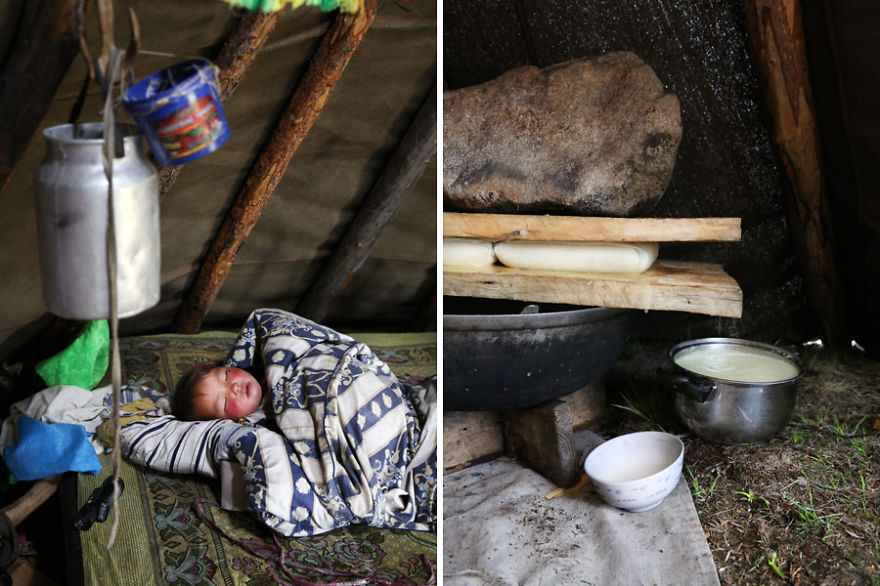 Meet The Tsaatan Nomads In Mongolia Who Live Like No One Else