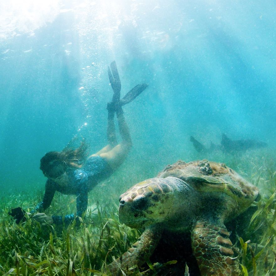 I Turned My Grandma's Old Van Into A Mobile Home So I Could Travel Across North America I Turned My Grandma's Old Van Into A Mobile Home So I Could Travel Across North America
