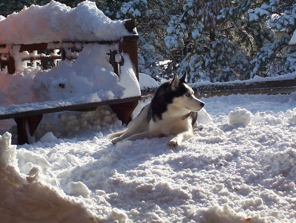 Akira Snow Camping In Colorado