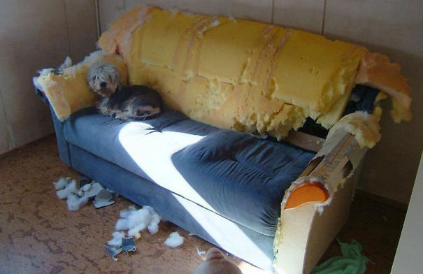 Oh, I Didn't Know You'd Be Home So Early!