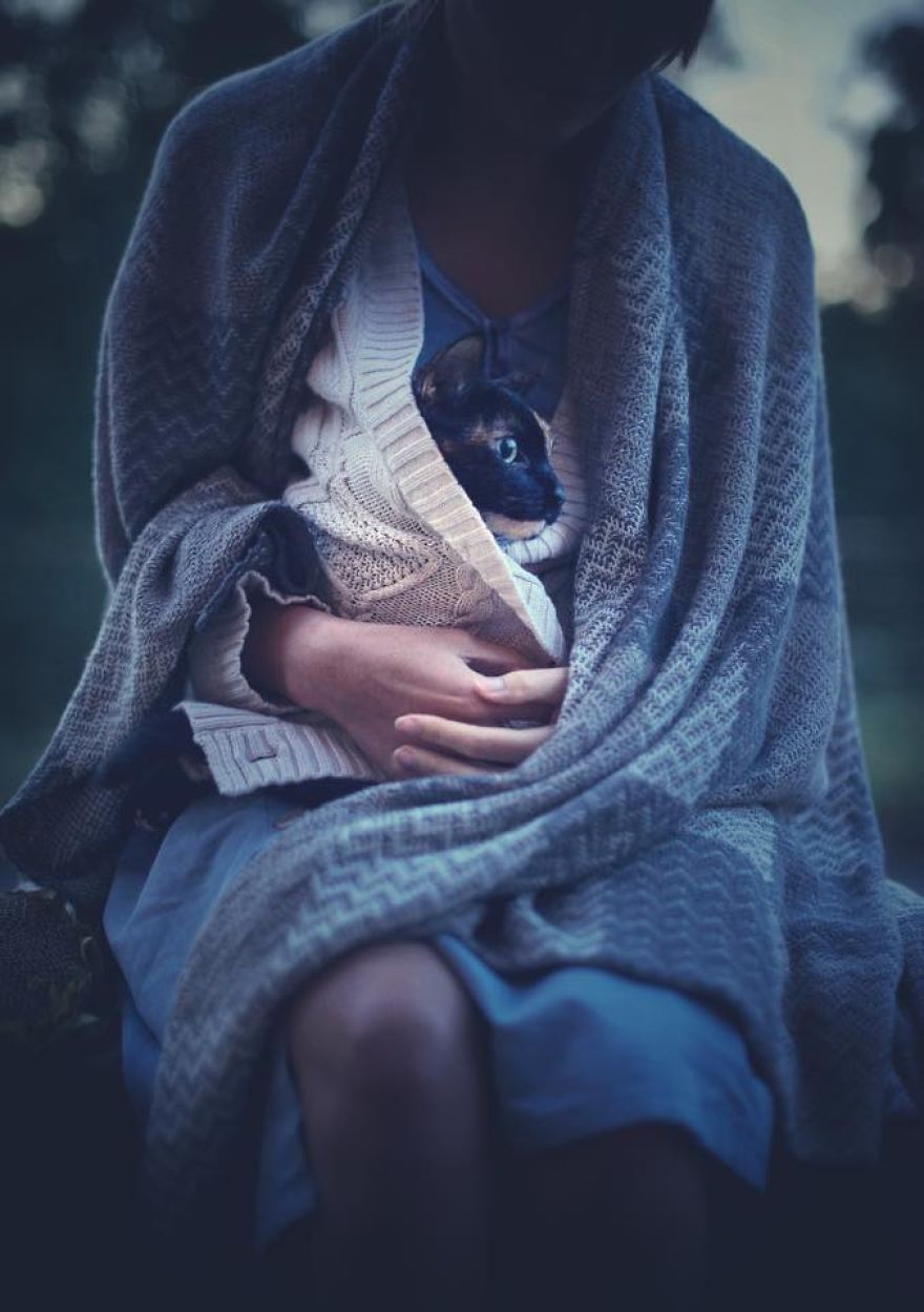 A Summer With A Cat: Why You Shouldn't Leave Your Cat At Home During Vacation A Summer With A Cat: Why You Shouldn't Leave Your Cat At Home During Vacation