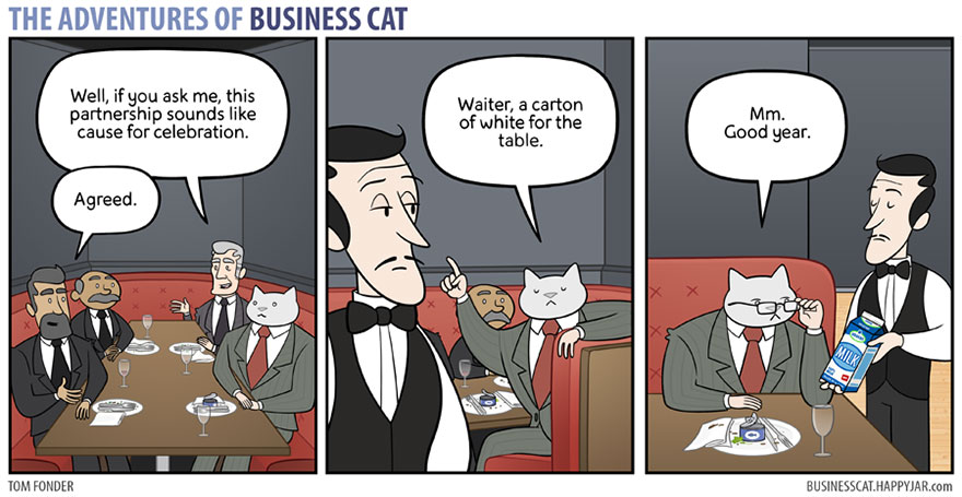 The Adventures Of Business Cat