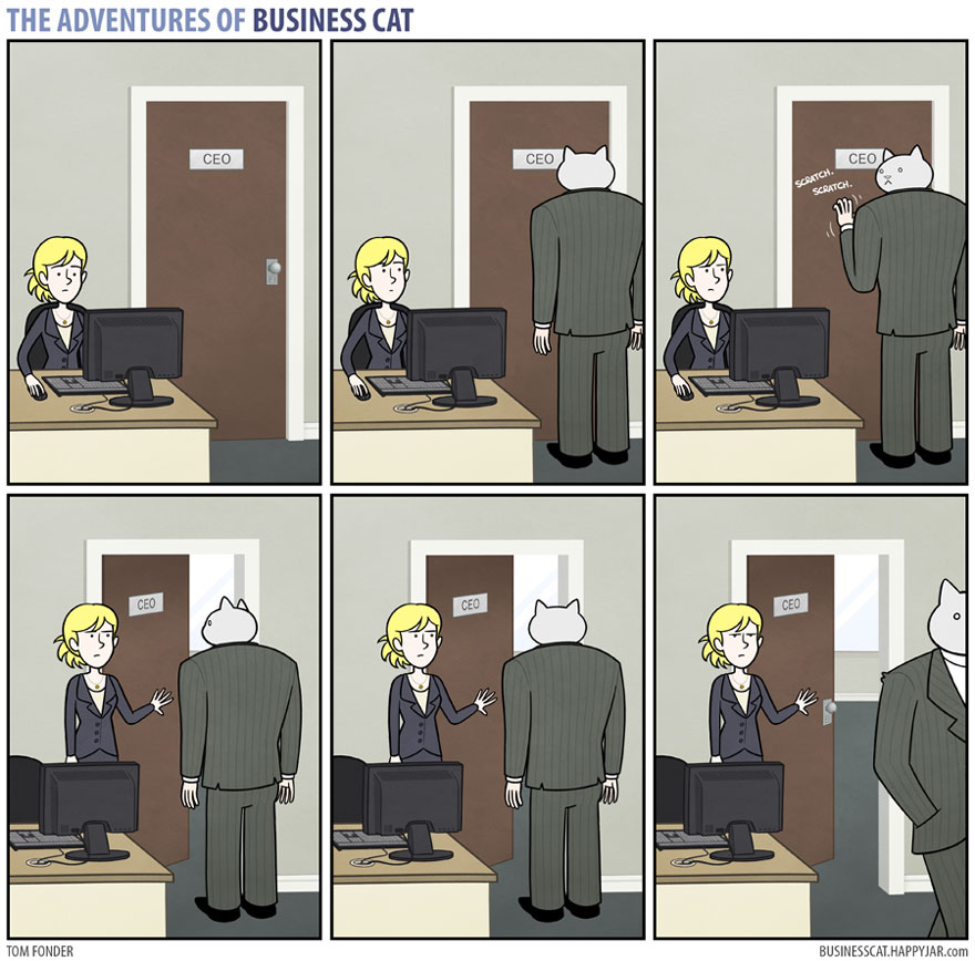 The Adventures Of Business Cat