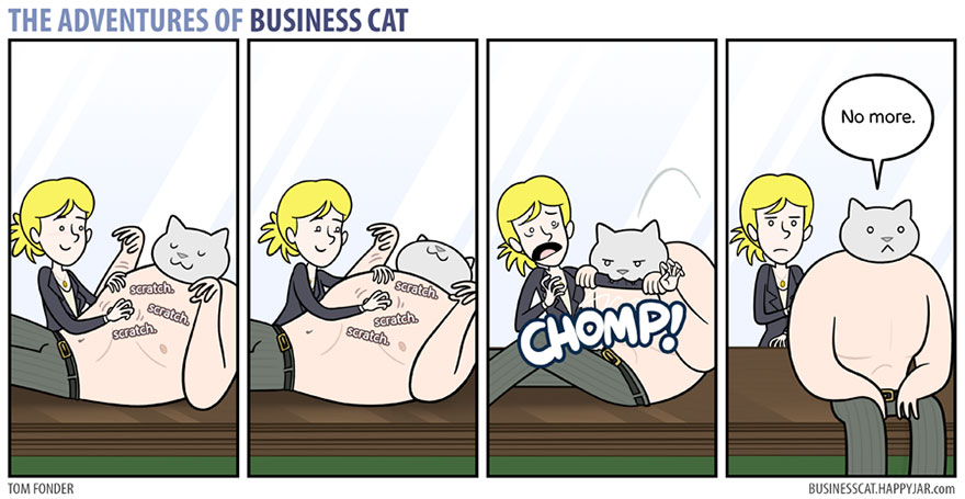 The Adventures Of Business Cat