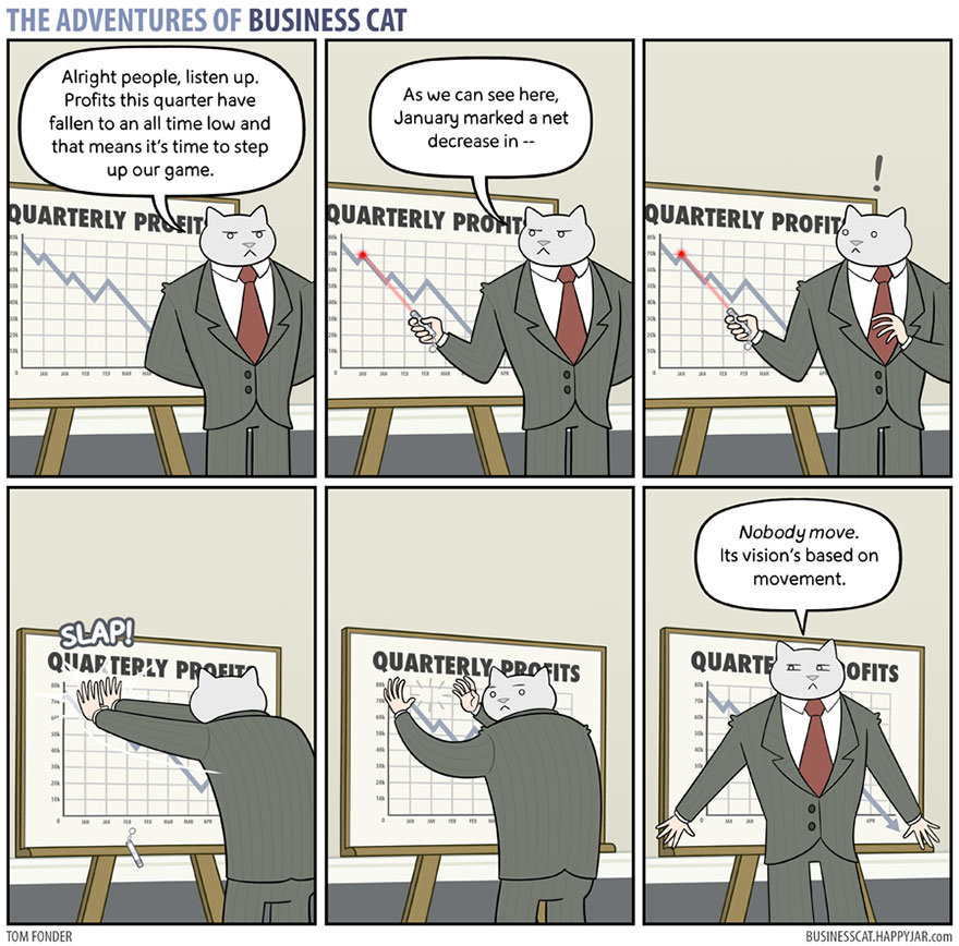 The Adventures Of Business Cat