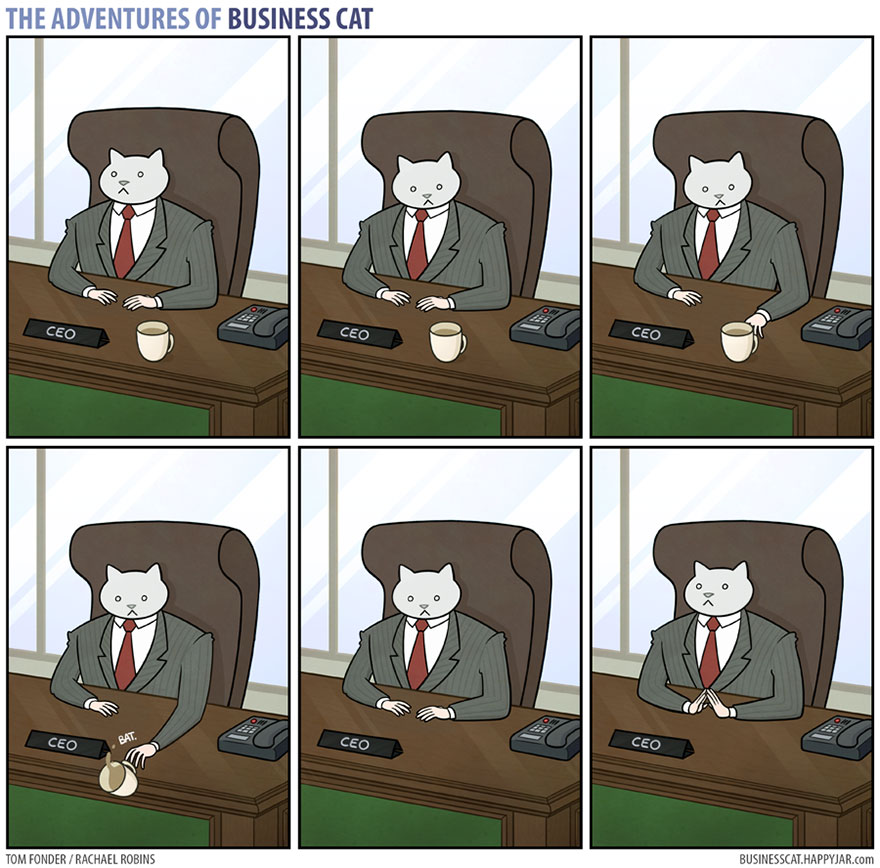 The Adventures Of Business Cat