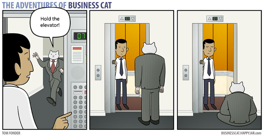 The Adventures Of Business Cat