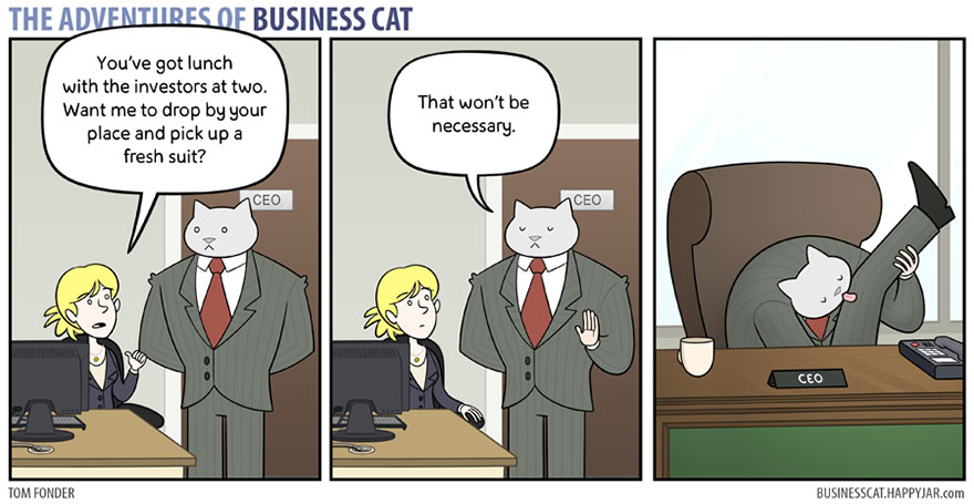 The Adventures Of Business Cat