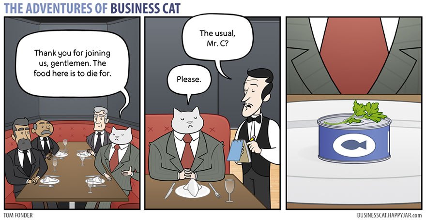 The Adventures Of Business Cat