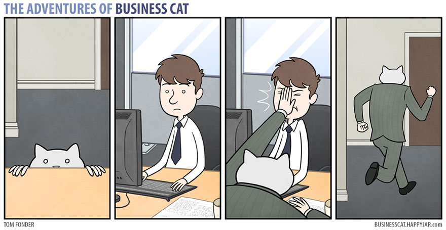 The Adventures Of Business Cat