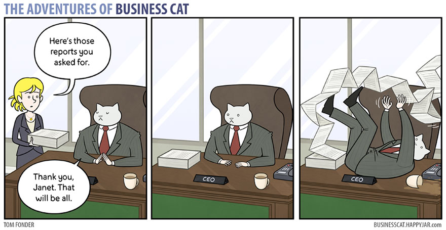 The Adventures Of Business Cat