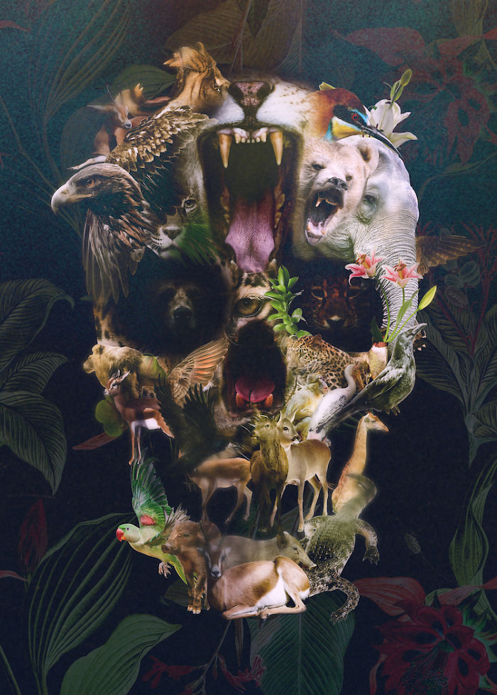 The Message: Yes, I Have A Thing For Skulls The Message: Yes, I Have A Thing For Skulls