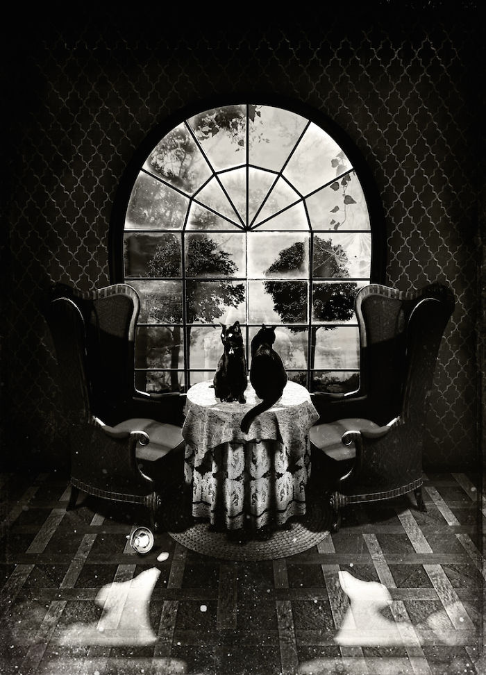 The Message: Yes, I Have A Thing For Skulls The Message: Yes, I Have A Thing For Skulls