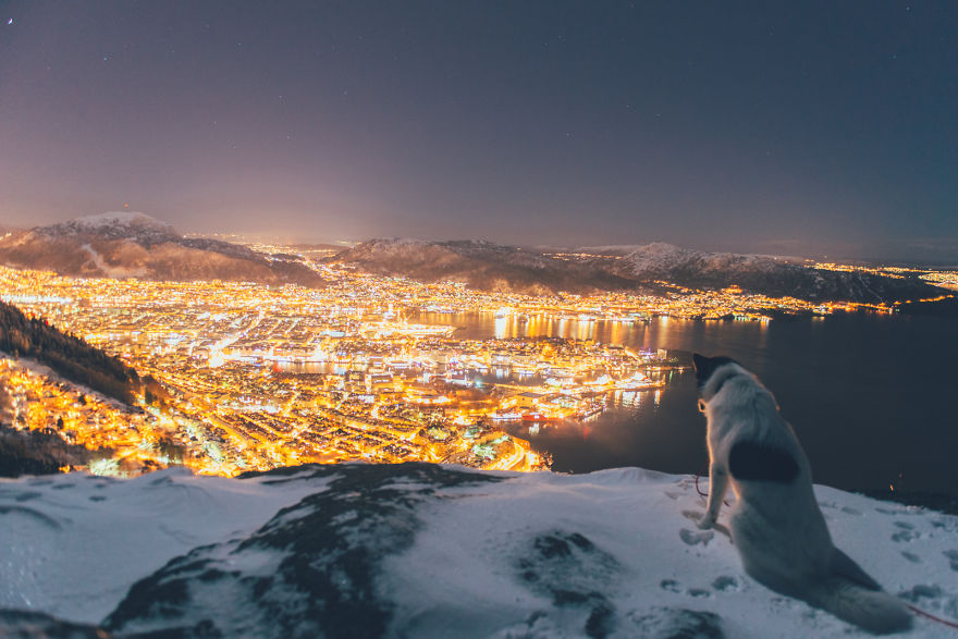 I Quit My Job To Go On Adventures With My Husky