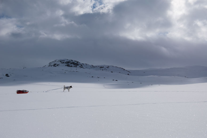 I Quit My Job To Go On Adventures With My Husky I Quit My Job To Go On Adventures With My Husky