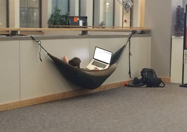 College In A Nutshell