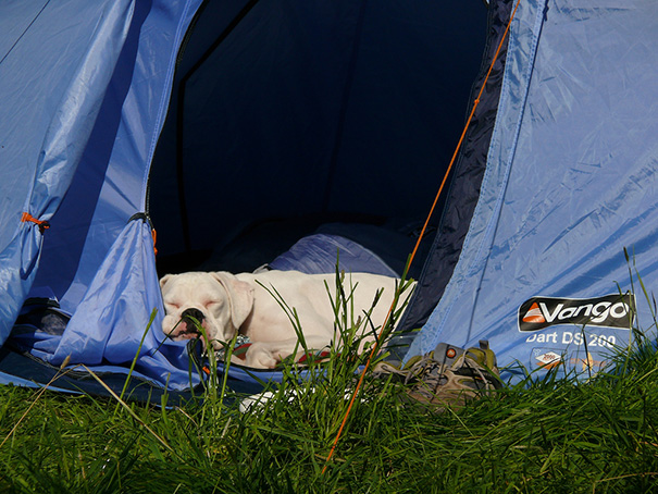 Milky's First Camping Trip