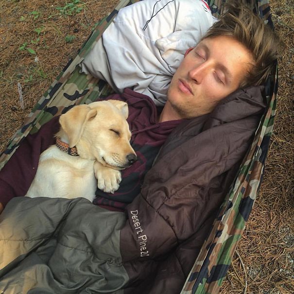 Camping With Dogs