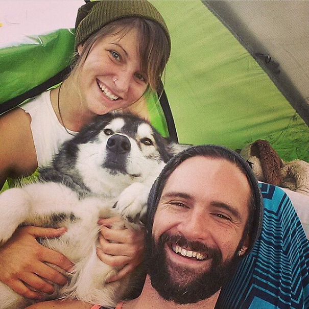 Camping With Dogs