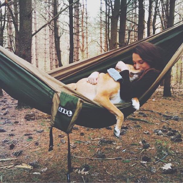 Camping With Dogs